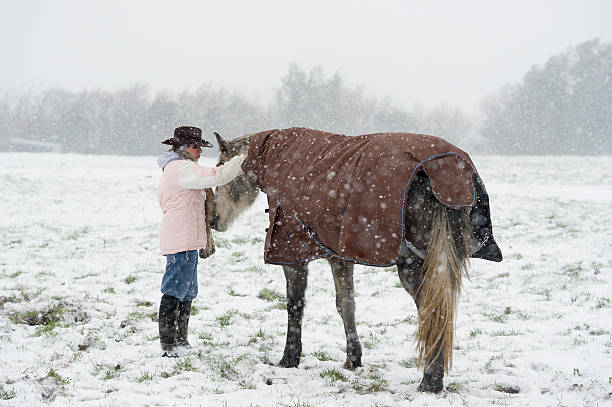 equestrian in the winter