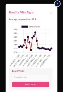 Graph showing sick horse temperature 